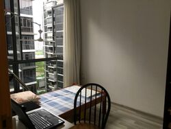La Fiesta (D19), Condominium #566842171